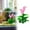Pink, variant on Artificial flowers,Flower Aquarium Decoration Artificial Aquatic Plant Waterweed Craft Plastic Plants Artificial Fish Tank Decorations Used For Household And Simulation Hydroponic