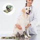 thumbnail image 5 of Venda veterinaria para mascotas GIFTMISSU, 6 unidades, 5 yardas, diseño camuflaje, 5 of 8