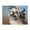 500 Pieces, variant on 500-Piece Wooden Jigsaw Puzzle for Adults - Dog Portrait Fluffyss Fur Happy , Fun & Relaxing Family Game, No-Dust Interlocking Pieces, Perfect Wall Decor & Holiday Gift
