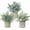 A 3-pack, variant on 3 Pack Fake Succulent Plant Set-Artificial Succulent Plant Mini Potted Fake Plants for Desk House Office Balcony Desk Bathroom Decoration A