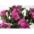 thumbnail image 2 of New Guinea Impatiens Bush Fuchsia Silk Flowers, 2 of 2