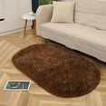 Soft Oval Rugs Fluffy Plush Modern Area Rug Shaggy Furry Carpet for