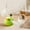 Green, variant on Dvkptbk Cats Toys Roly Poly Toys Food Dispensing Toys Educational Cats Toys Cats Entertaining Toys Feathers Cats Teasers with Mint Balls pet supplies