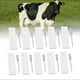thumbnail image 1 of 10 Set Cow Pregnancy Test Strips Early Detection High Accuracy 88g 25-26, 1 of 5