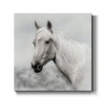 thumbnail image 1 of Wild and Free-Premium Gallery Wrapped Canvas - Ready to Hang, 1 of 3