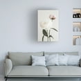 thumbnail image 2 of Pictufy Studio III 'Peony 12' Canvas Art - 22 x 32 Inches, 2 of 4