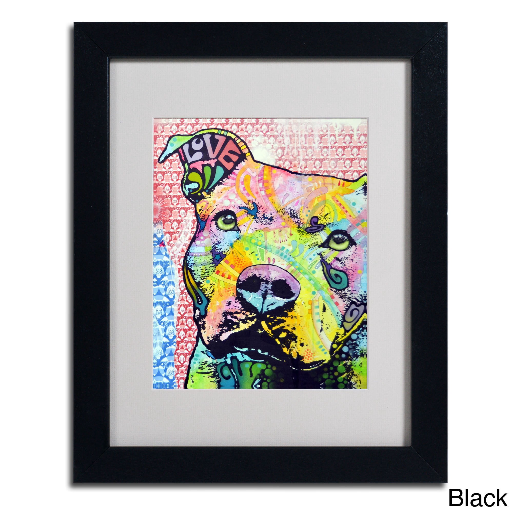 Matted art under acrylic in a wood frame