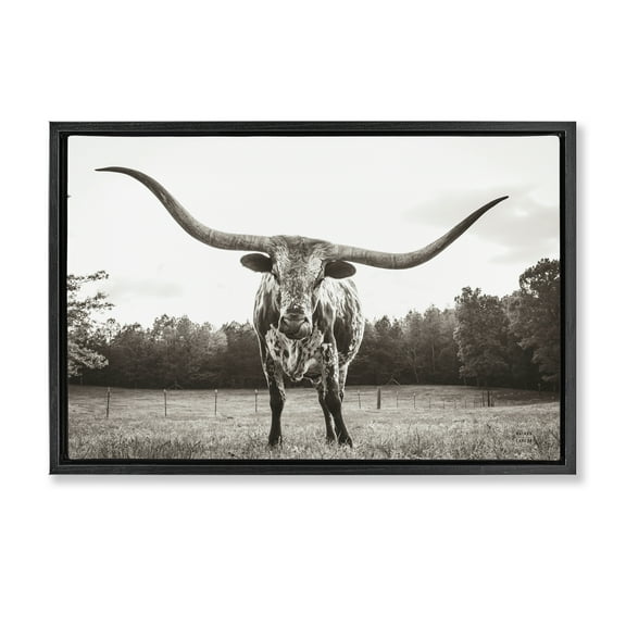 Stupell Industries Longhorn Licking Lips Animals Photography Black Floater Framed Canvas Art Print Wall Art, 25 x 17