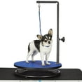 thumbnail image 1 of Master Equipment TP160 19 Steel Adjustable Small Pet Dog Grooming Table, Blue, 1 of 3