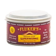 Canned Superworms 1.2oz