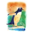 thumbnail image 5 of Gentoo Penguin, Watercolor, Lantern Press, Premium Playing Cards, 52 Card Deck with Jokers, USA Made, 5 of 5