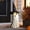 Dark Gray, variant on Lighted Candy Corn Corgi Blow Mold Halloween Decoration Freestanding LED Dog Statue for Yard Porch Indoor Outdoor Fall Display, Orange