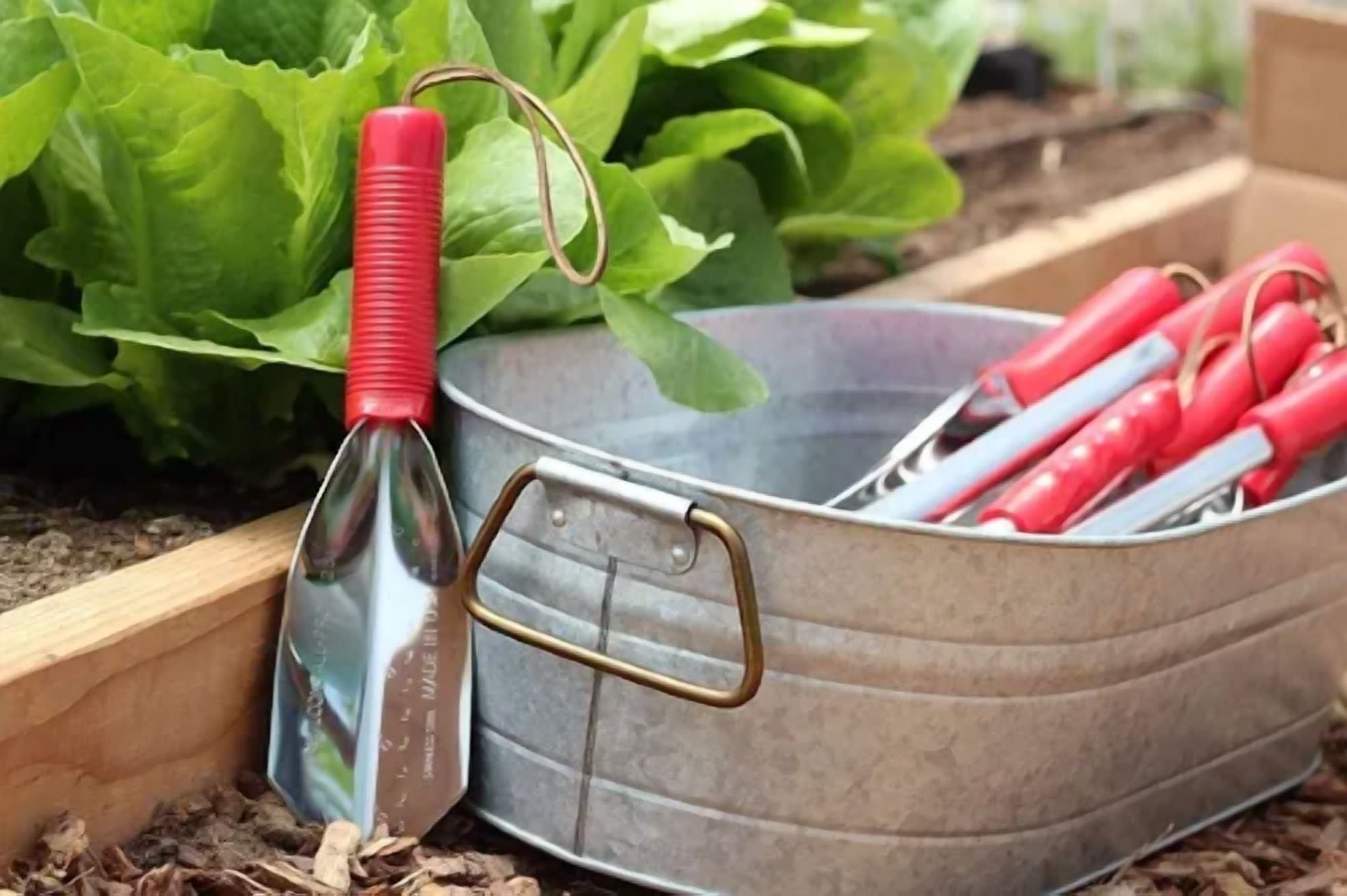 Wilcox - 11" Stainless Digging Trowel