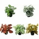 thumbnail image 2 of Pequeñas plantas verdes artificiales en la maceta Decoraciones para ventanas Adornos en la maceta Plantas de flores artificiales Suculentas Flores artificiales (hojas manchadas (rojas)) Sailing Electrónica, 2 of 2