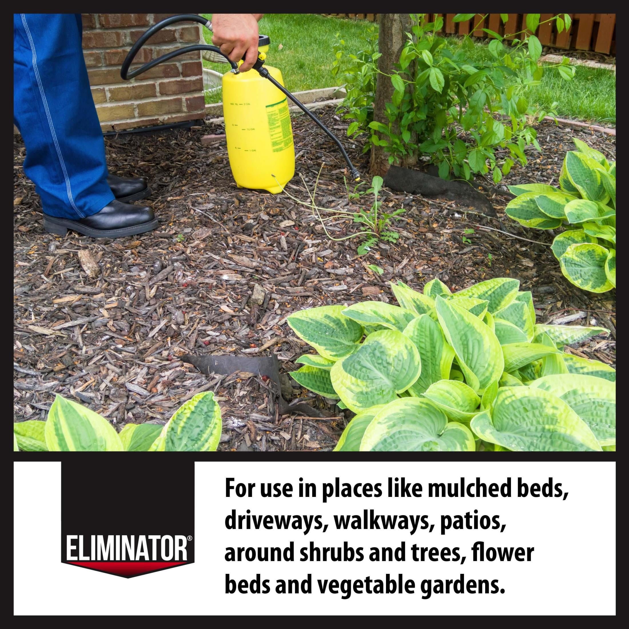 Eliminator Weed & Grass Killer Concentrate Herbicide, 16 fl oz, Kills Down to The Root