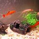thumbnail image 4 of Aquarium Decoration, Fish Tank Cave Decoration, Fish Tank Broken Barrel Hole Decoration, Fish Tank Resin Broken Barrel Decoration Aquarium Fish And Sh, 4 of 5