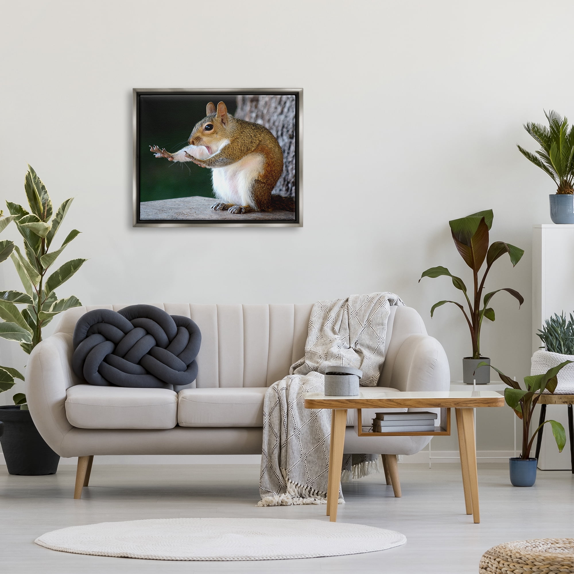 Stupell Industries Funny Shocked Pose Squirrel Animals & Insects Photography Gray Floater Framed Canvas Art Print Wall Art, 31 x 25