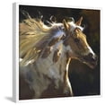 thumbnail image 1 of Spirit Horse, Animals Framed Art Print Wall Art by Carolyne Hawley Sold by Art.Com, 1 of 6