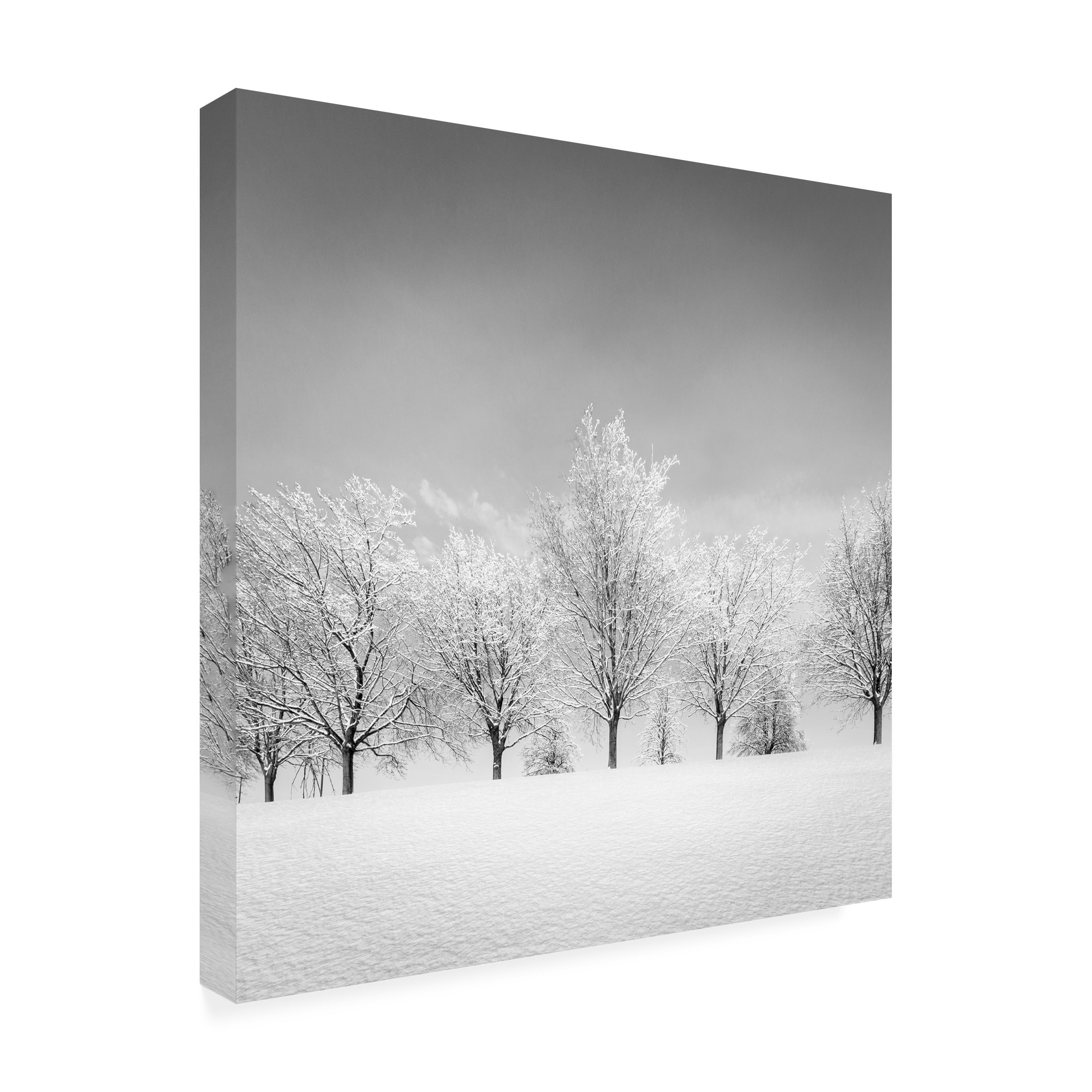 Trademark Fine Art "Ice Storm" Canvas Art by Dave MacVicar