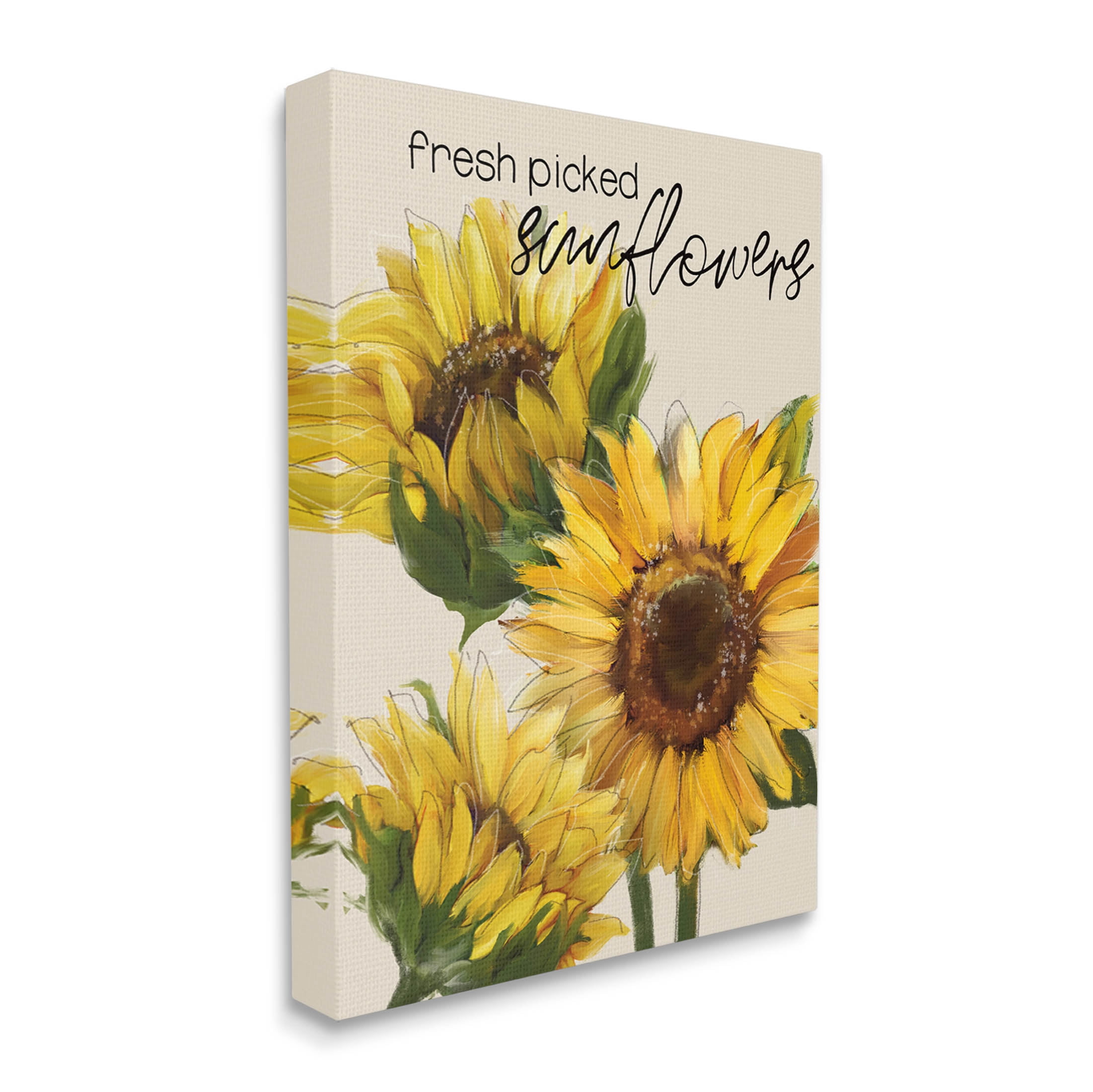 Stupell Industries Fresh Picked Sunflowers Typography Graphic Art Gallery Wrapped Canvas Print Wall Art, Design by Conrad Knutsen