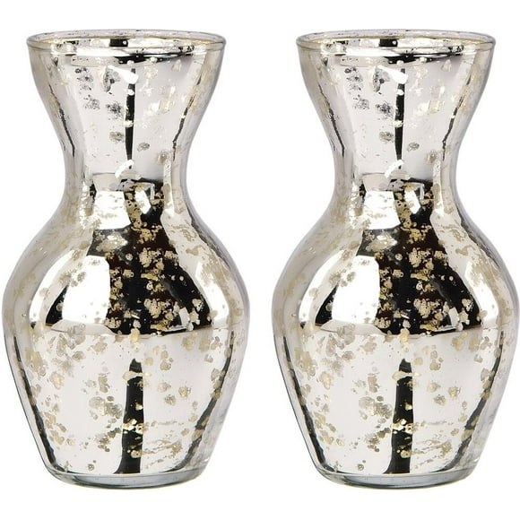 Mercury Glass Vases