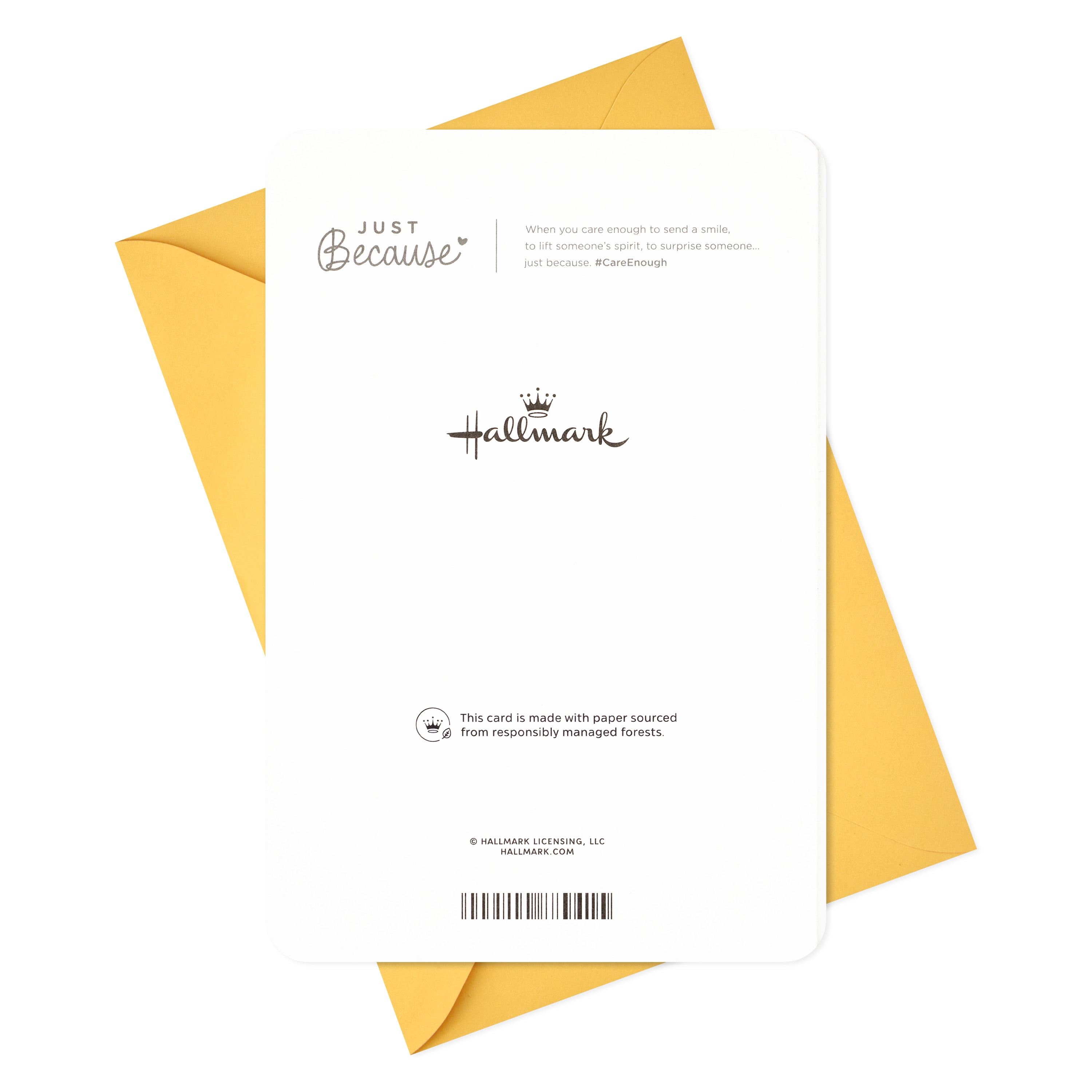 Hallmark Just Because Congratulations Greeting Card (How Exciting!)