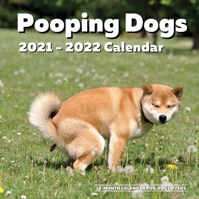 Dog Pooping 2021 Calendar  11" x 17"  Jan Dec 2021 Gag Gift