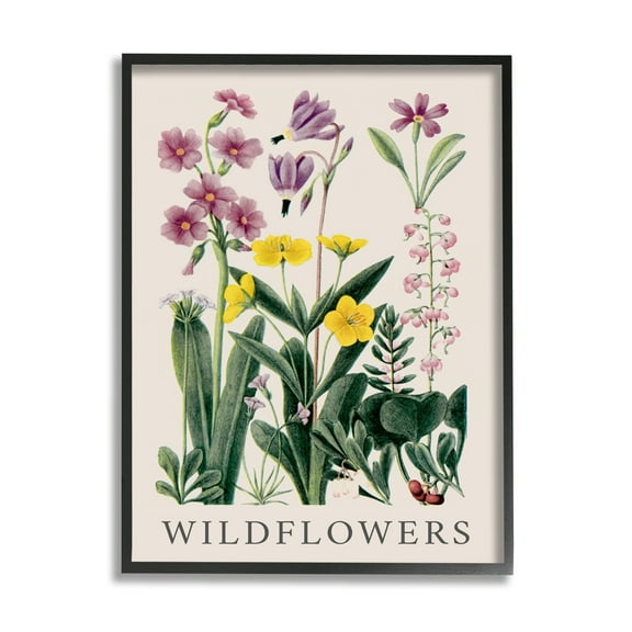 Stupell Industries Various Wildflowers Study Botanical & Floral Painting Black Framed Art Print Wall Art, 11 x 14
