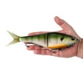 thumbnail image 3 of Berkley PowerBait® Chop Block, 10 in, MF Bluegill, 3 of 4