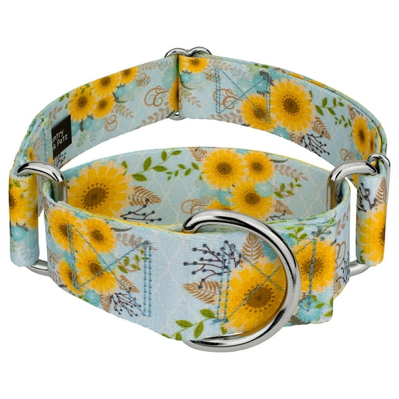 Country Brook Petz® 1 1/2 inch Sunny Days Martingale Dog Collar, Large