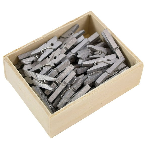 JAM Wood Clothespins, Silver, 50/Pack, Small 7/8 Inch Clips
