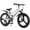 Silver 1, variant on 20 Inch Mountain Bike Bicycle for Kids Ages 7-12 with Dual Disc Brakes, 7 Speeds, Shock Absorber, LED Lights,for Boys & Girls