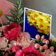 thumbnail image 3 of 3drose, Easter Daffodils, 12 Greeting Cards with Envelopes, 3 of 7