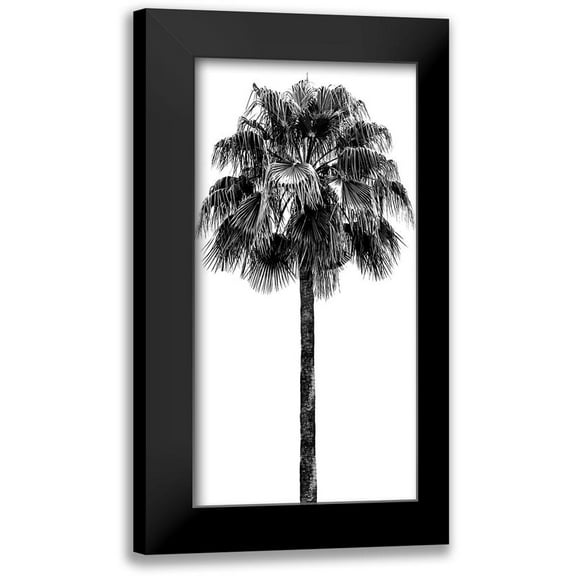 Blake, Madeline 9x14 Black Modern Framed Museum Art Print Titled - Palm Tree IV