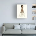 thumbnail image 3 of Unknown 'Antique Octopus Collection III' Canvas Art, 3 of 4