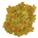 thumbnail image 5 of Hojas De Arce Artificiales Práctica Hoja De Otoño Suave Y Cómoda Para Decoración De Otoño. ANGGREK Arte y Manualidades, 5 of 8