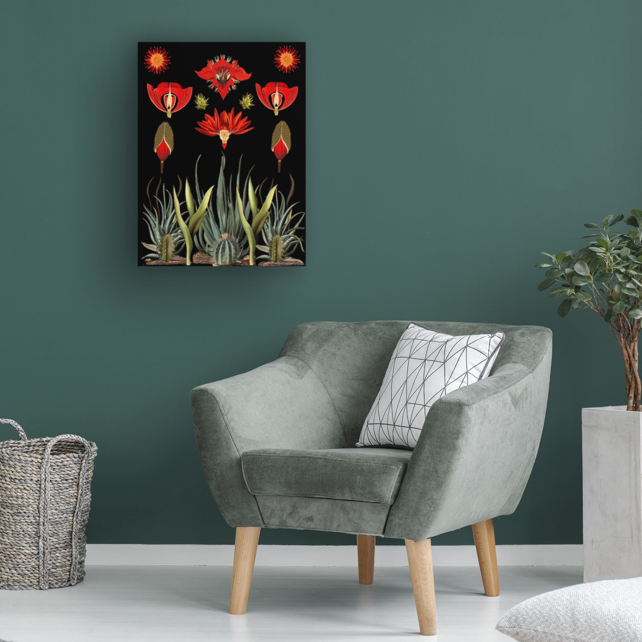 Trademark Fine Art giovanna nicolo  Cactus and Succulent Invention Canvas Wall Art