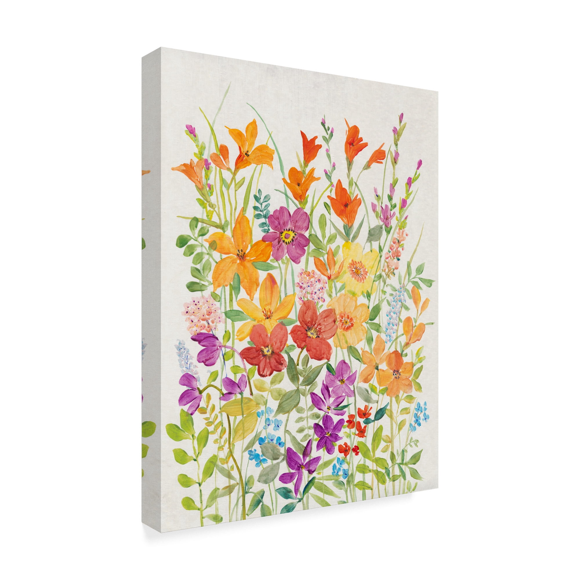 Trademark Fine Art 'Hot Summer Mix I' Canvas Art by Tim OToole