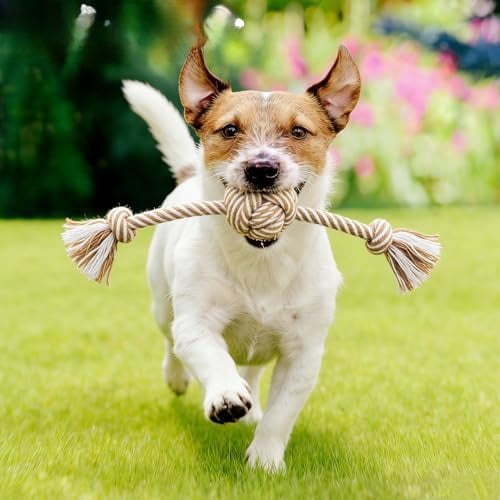 Dog Rope Toy for Small Dog 3pcs, Natural Chew Toys for Puppy, Medium & Small Dogs, Tug of War Rope for Puppies Clean & Relieve Teething