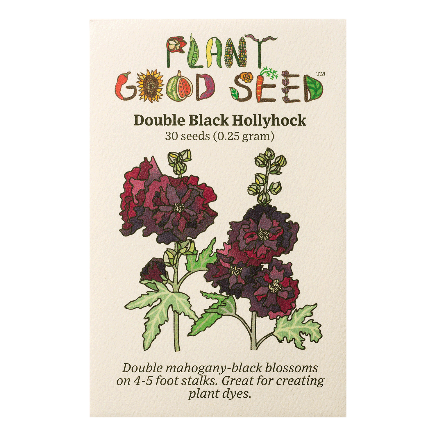 The Plant Good Seed Double Black Hollyhock Flower Thrives in Full