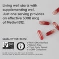 thumbnail image 4 of Sports Research® Vitamin B12 (Methylcobalamin) 5000mcg (High Potency) + Coconut MCT Oil for Energy Support Vegan Certified Non-GMO Gluten Free 120 ct, 4 of 7