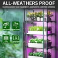 thumbnail image 2 of ArtBeek Green House Portable Plastic Greenhouses with Heavy Duty Transparent PVC with Plant Growing Lights (4_Tier), 2 of 7