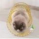thumbnail image 4 of Juguete de túnel autojugable de 2024 nuevo, juguete de ratón con ratones, juguete para gatos: túnel para gatos, vara de burla, cueva de gato, amarillo, 4 of 8