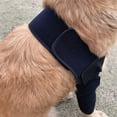 thumbnail image 4 of tredstone Shoulder And Elbow Protection For Dogs Convenient And Durable Effective Polyester Dog Elbow Protector Brace Protector Black S 1Set, 4 of 6