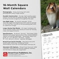 thumbnail image 2 of BrownTrout Collies 2024 12x24 Inch Square Wall Calendar, 9781975462406, 2 of 8