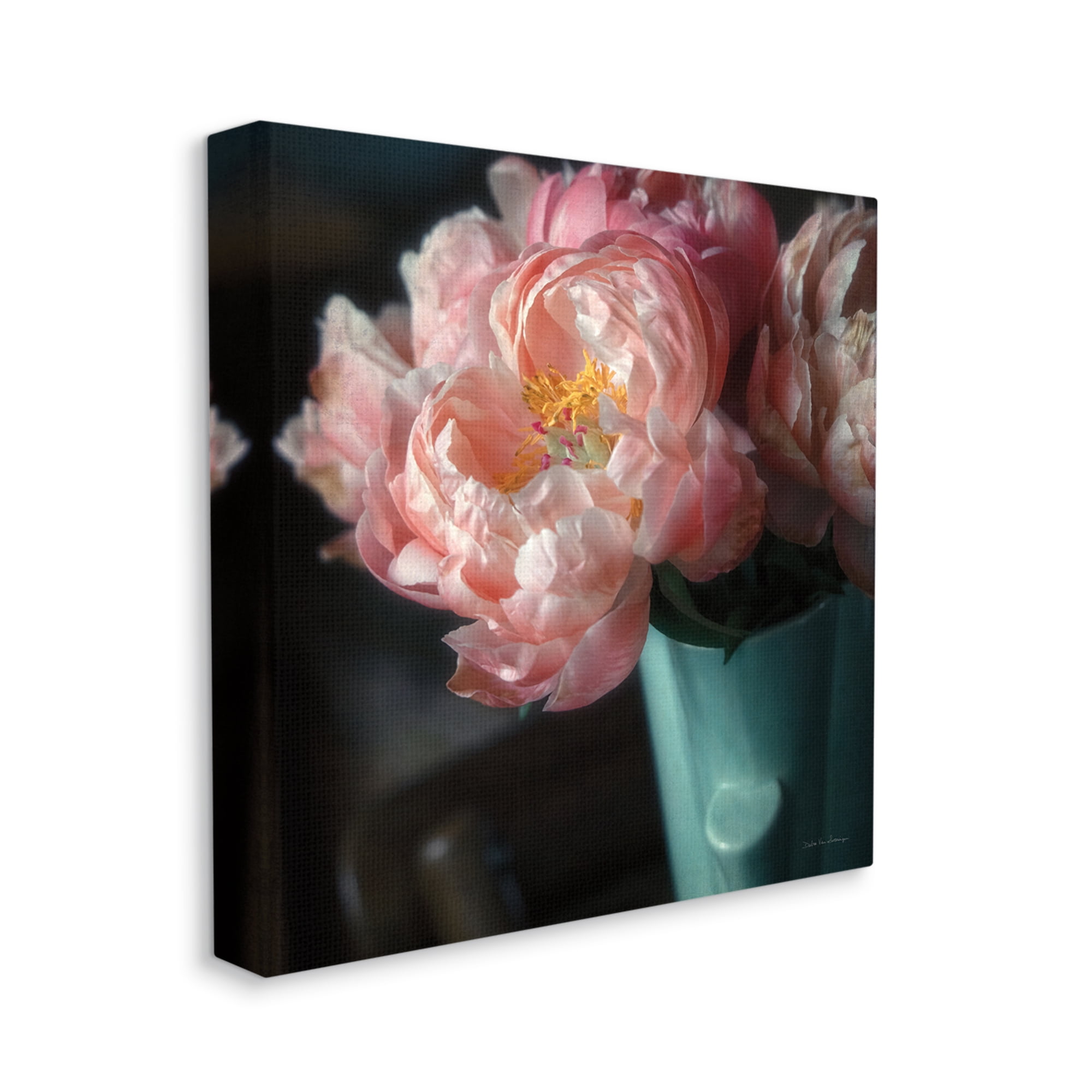 Stupell Industries Pink Peony Photography Botanical & Floral Photography Gallery Wrapped Canvas Art Print Wall Art, 17 x 17