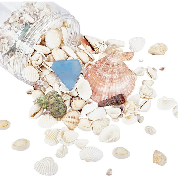 500g 10 Styles Mixed Natural Sea Shells No Hole Ocean Beach Shell Charms with Sea Glass Chip Beads for Crafts Jewelry DIY Vase Fillers Summer Decor