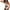 White, variant on sonwsong One Piece Swimsuit Women,Women's Wrap Push Up Swimsuit Bathing Suit Swimwear High Waist Monokini,Swim Suits for Women 2024,Modest Swimsuits,Costume,(Clearance) Purple L