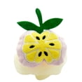 thumbnail image 3 of Xihbxyly Esponja de Baño con Forma de Fruta, Suave, Cómoda y Exfoliante, con Malla Delicada y Efecto Espumante, Ideal para La Ducha y El Cuidado Corporal, Ideal para Un Baño Relajante y para Adultos., 3 of 3