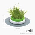 thumbnail image 2 of Catit Senses 2.0 Grass Planter, Green (43161W), 2 of 2